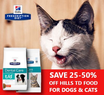 clyde veterinary hospital|casey cranbourne vet clinic.